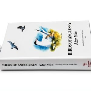 Dictionnaire Gallois Menter Mon 612 pages édition révisée-0