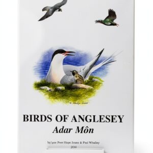 Menter Mon livre édition révisée anglais gallois 612 pages-0