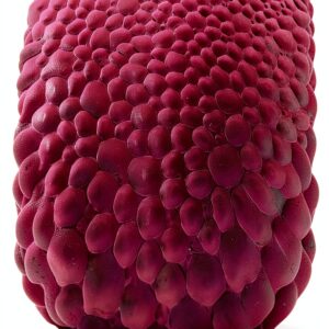 Routledge livre numérique anglais édition 2023 260 pages-0