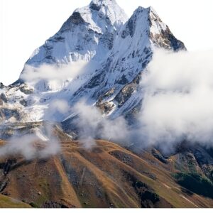 Nabu Press Livre Anglais 496 pages Dimensions 189x246 cm-0