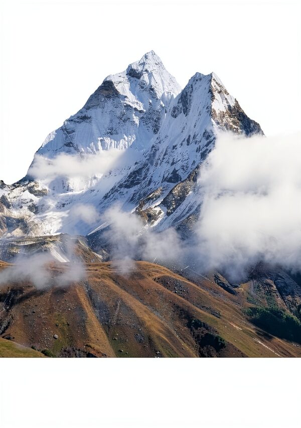 Nabu Press Livre Anglais 496 pages Dimensions 189x246 cm-0